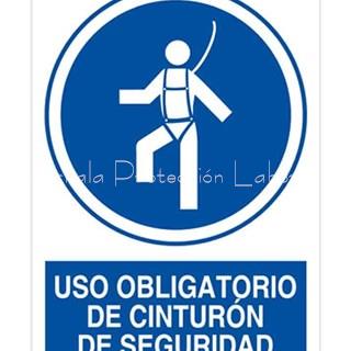 Señal obligatorio el uso de cinturón - Imagen 1